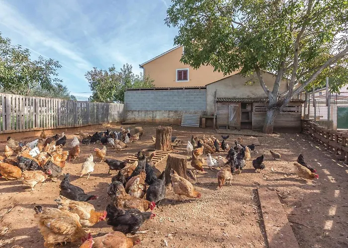 Valtursko Polje I Daire Loborika